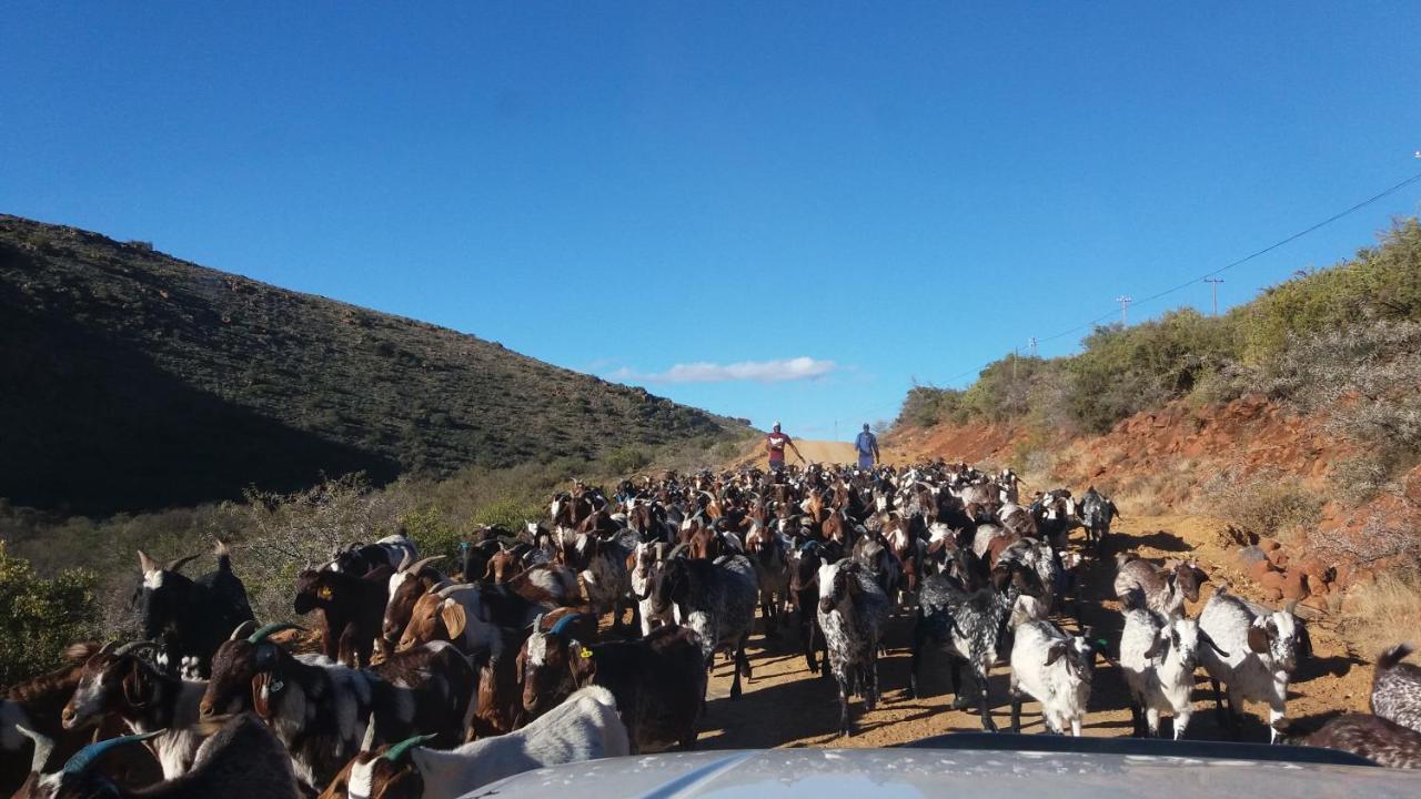 Waterval Farmstay Graaff-Reinet Esterno foto